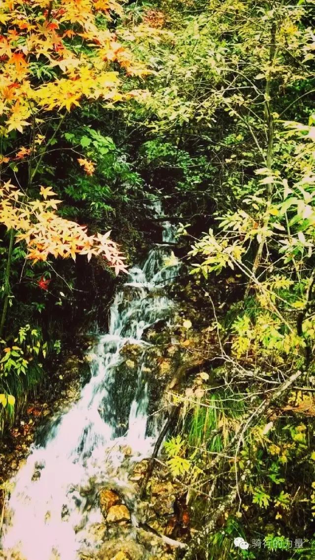 文县天池之美,美丽的文县天池山色空蒙湖水清澈