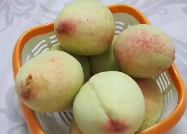 辽宁各地美食分布图,辽宁美食攻略大全