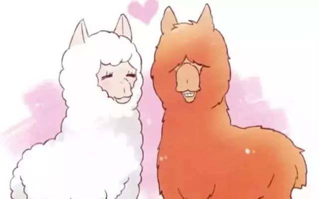 哪些均价不超过10元的好物,泰国性价比好物