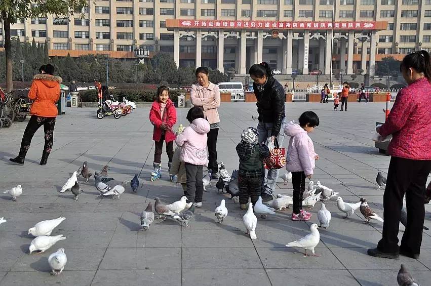 西安603路公交车密接者,西安603路最新路线图