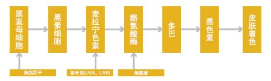 范秀敏专家解析白癜风为何反复发作？