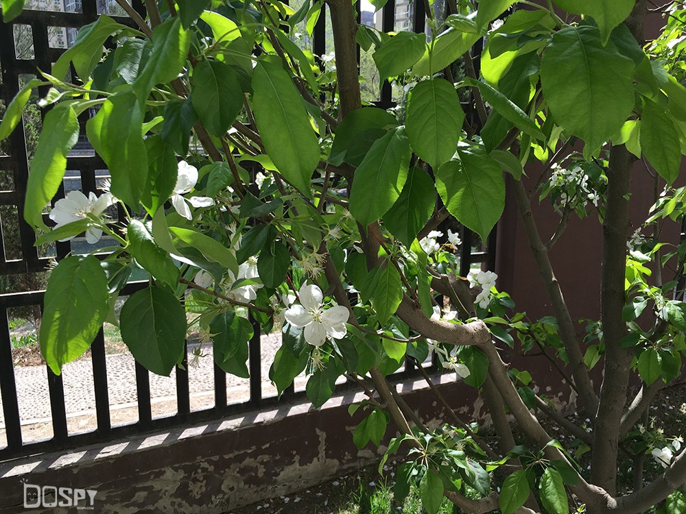 商务的外表商务的芯金立天鉴W909翻盖旗舰手机评测