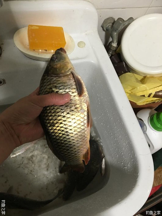 东征西讨和南征北讨,东征西讨南伐大漠