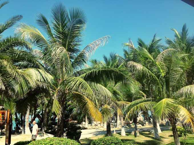 SANYA浪漫之旅，北纬18°的温暖、