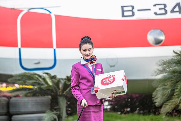 米易樱桃和凉山小樱桃,攀枝花米易黄草小樱桃