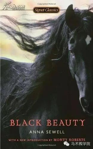 黑骏马我的故乡蒙语,黑骏马我是蒙古人