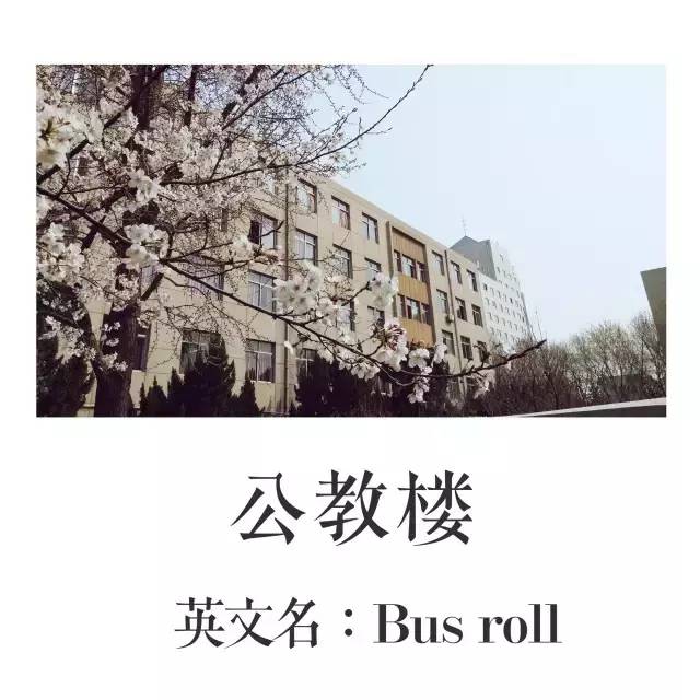 趣谈这里有一本山大非官方英文名称图册