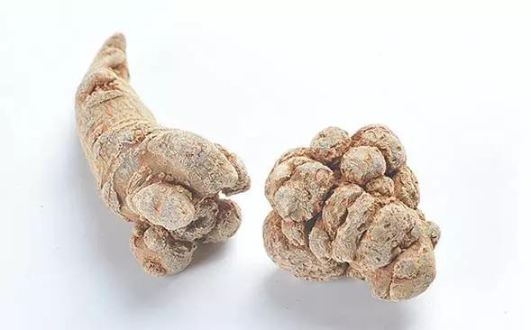 活血化瘀除湿治风湿的药,三七药酒可以活血化瘀吗