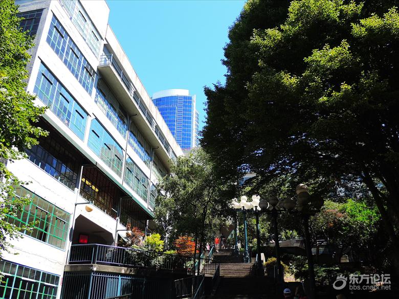 西雅图油价,西雅图油价多少钱