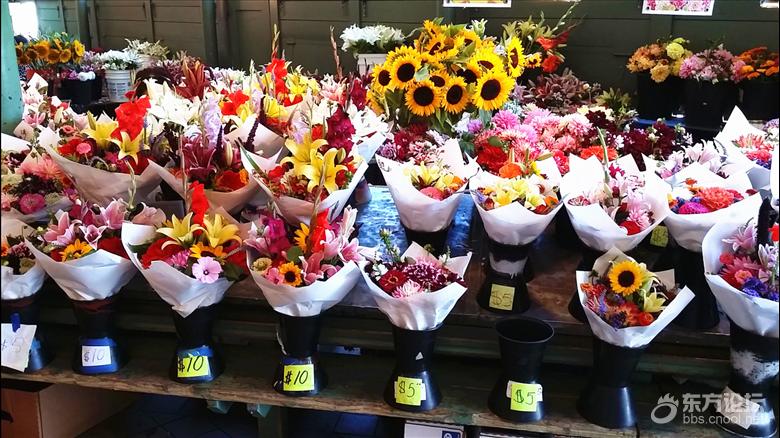 西雅图油价,西雅图油价多少钱