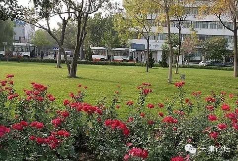 天津最值得去的公园排名榜前十,天津津南区值得游玩的公园