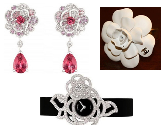 香奈儿山茶花有几种版本,香奈儿喜欢的茶花是什么品种