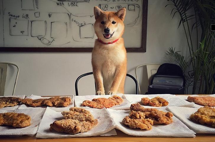 魔都炸鸡哪个牌子好吃,魔都排名第一炸鸡