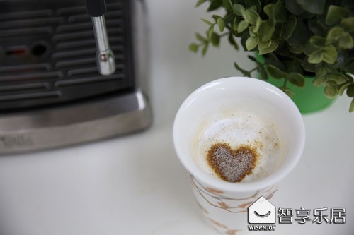 泵浦式咖啡机测评,泵浦式高压咖啡机