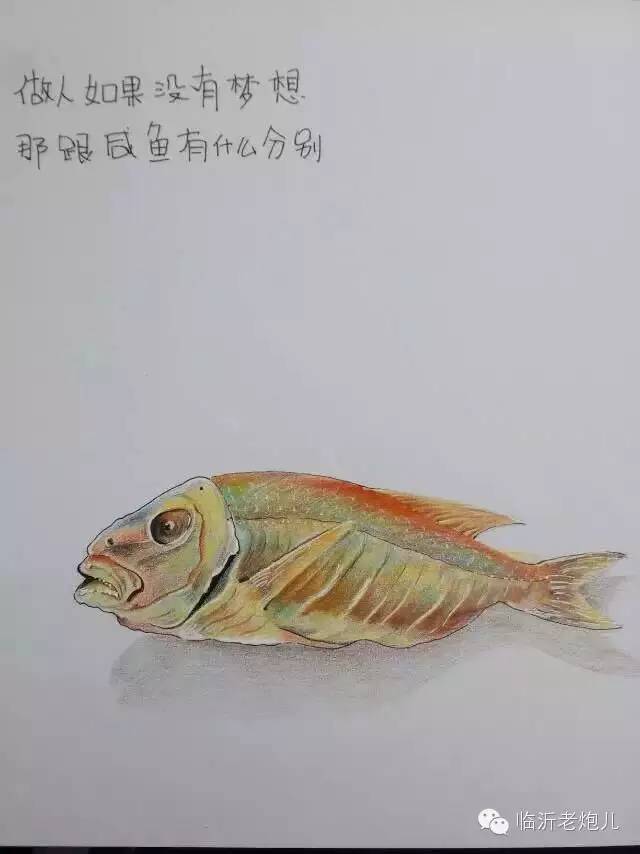 带上手鼓去旅行,带着旅行箱去旅行绘画