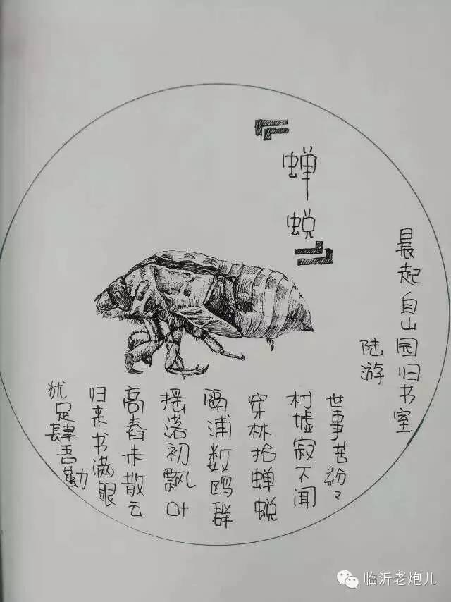 带着书本去旅行绘画,带着旅行箱去旅行绘画