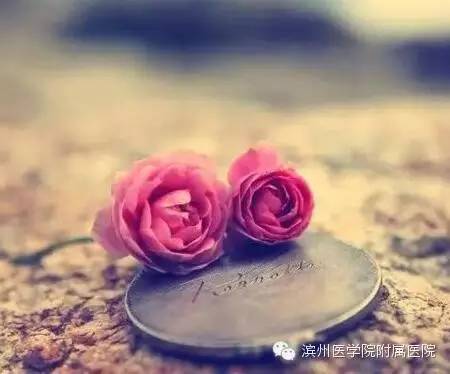 产科护士日常文章,产科新手护士感言