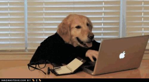 后免税时代怎么买？关于海淘税改这9件事你该了解