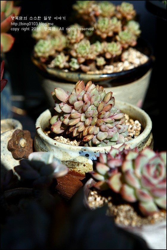 直播间不退不换的韩货,未来直播带货会持续红火吗