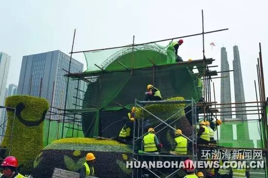 唐山大钊公园海棠,唐山新闻联播今日回放