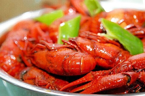 小龙虾的生长环境干净吗,小龙虾生长环境真的很脏吗