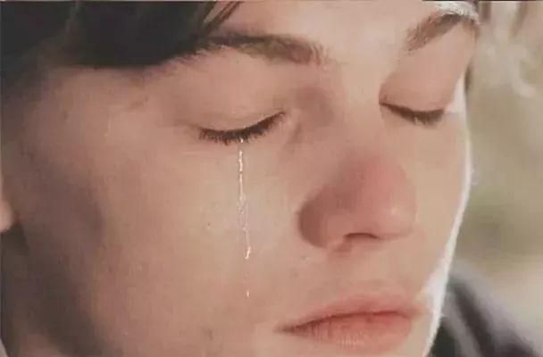 心之全蚀魏尔伦,心之全蚀魏尔伦和兰波