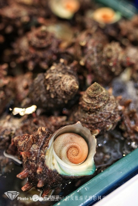 瀵诲疂璧拌繘鍝簺鍩庡競,瀵诲疂澶栧浗娴峰矝