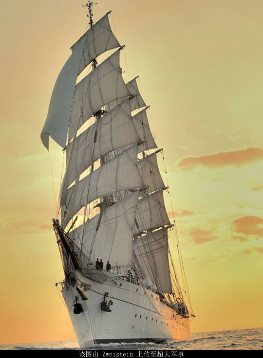 女兵意外去世,女兵被杀的真实案例