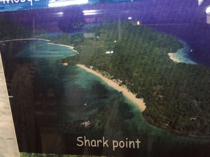 阳光沙滩与海边,阳光与沙滩结局