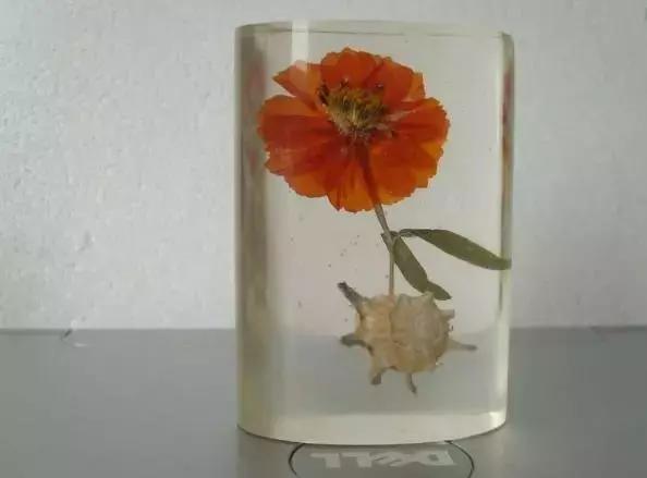 怎么把鲜花做成标本不会枯萎,透明树脂胶怎么制作鲜花标本
