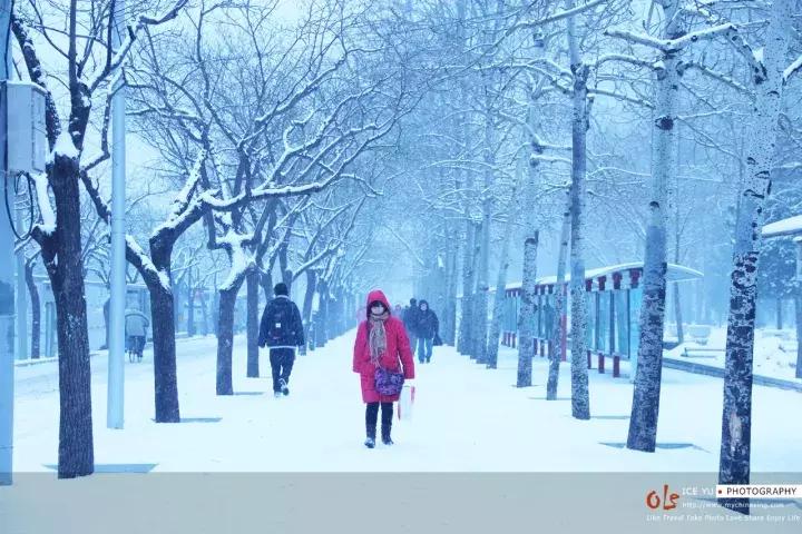 小马过河告诉我们什么意思,小马过河这一课告诉我们什么