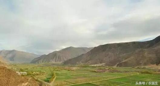 土地流转纠纷化解典型经验做法,解决土地流转问题的措施