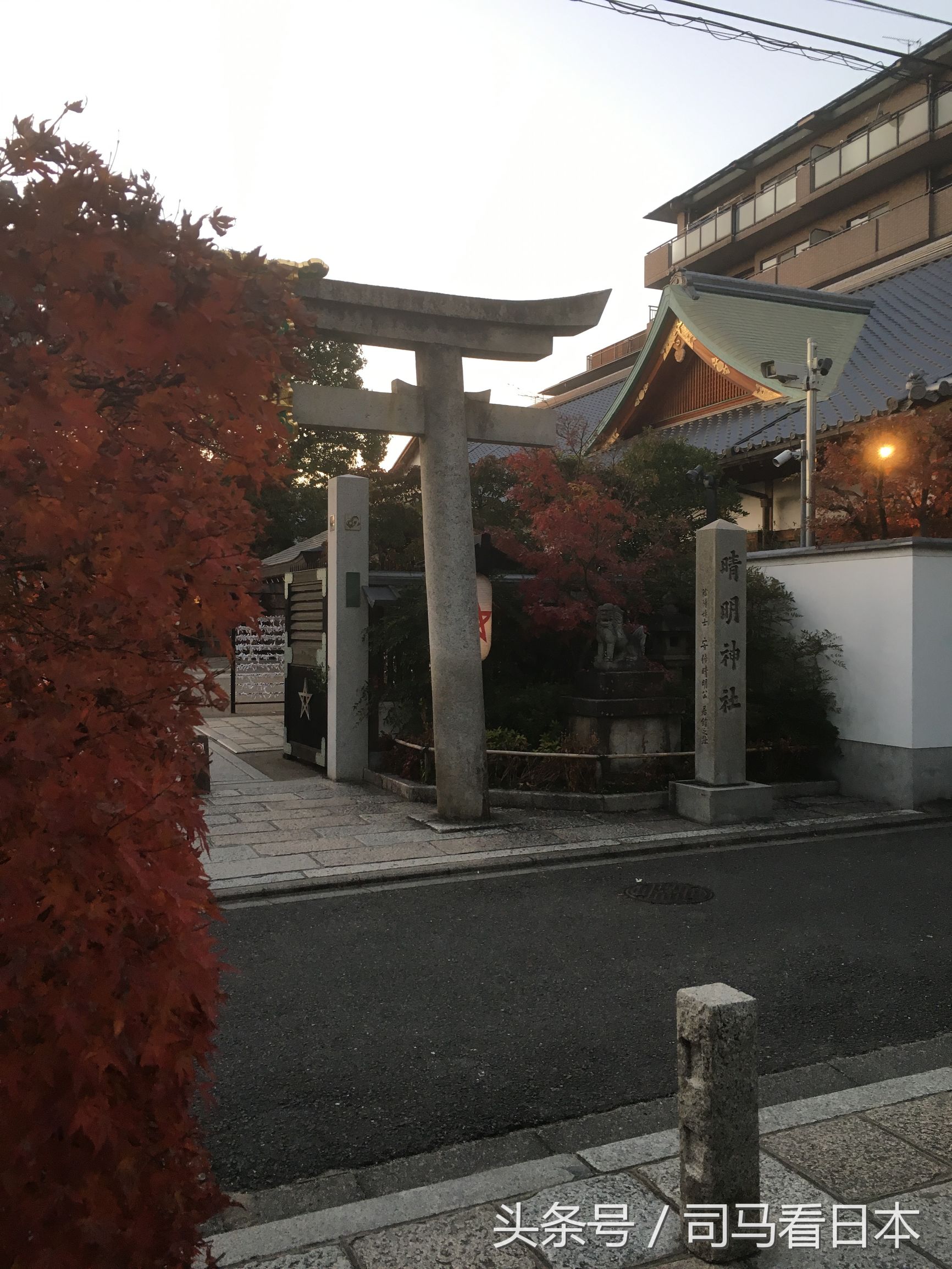 阴阳师中安倍晴明的身份,阴阳师衍生作安倍晴明的现代生活