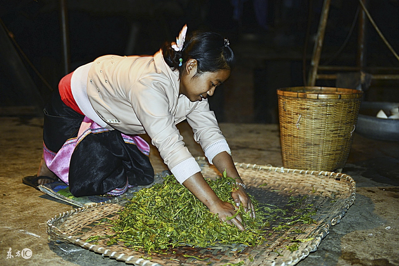 普洱茶从采摘到成品,普洱茶从采摘到成品的全过程解析