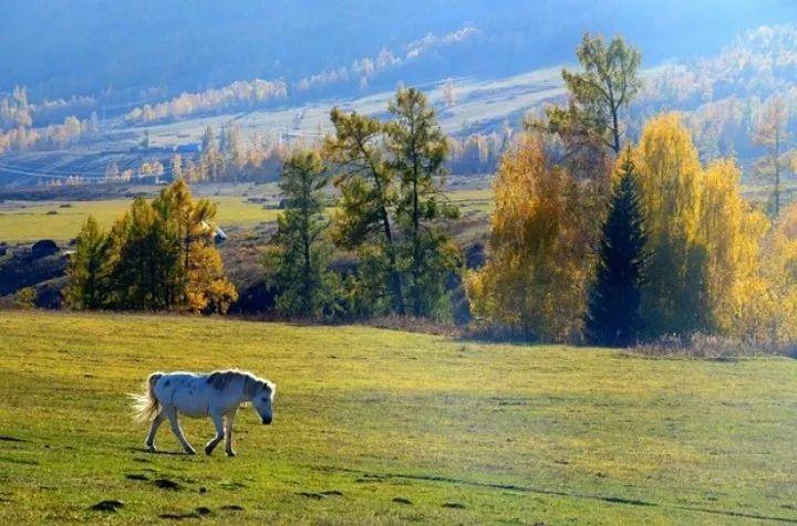 绿色中国梦演讲,诗歌散文我的中国梦朗诵