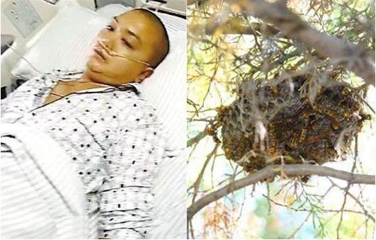 网络主播为了火，竟然直播烧房子！？