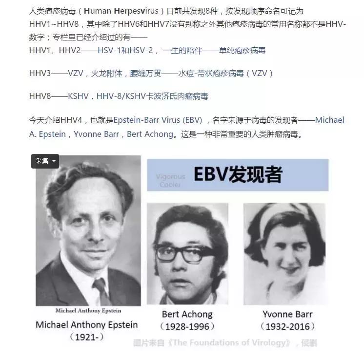 亲吻宝宝对宝宝有好处吗,大人亲吻宝宝会让宝宝得什么病