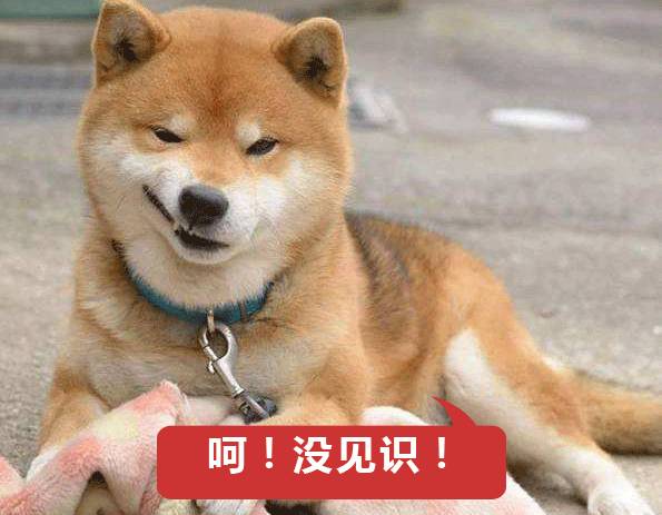 比较妖孽的歌,史上最强第一妖孽