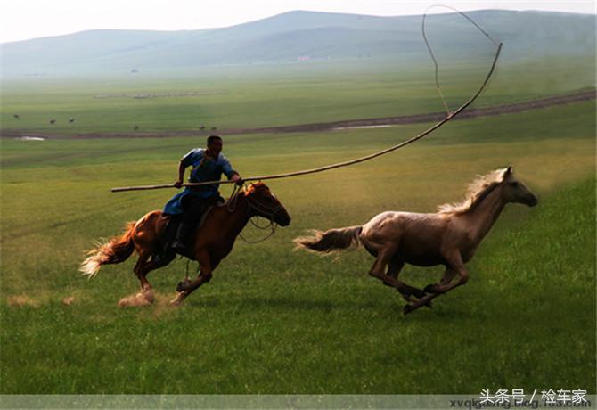 八年的霸道卖28万？不愧是“烂路王”，买家卖家都值了