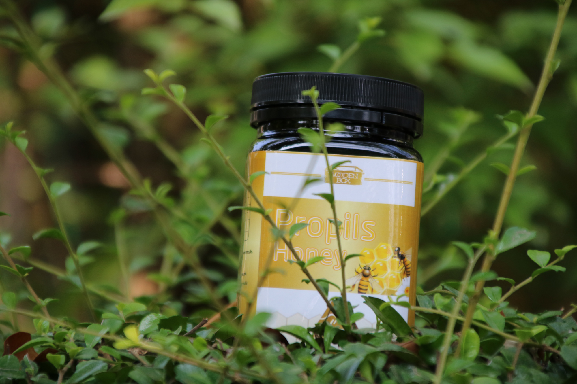 这玩意,牛得没有朋友,到底牛在哪里