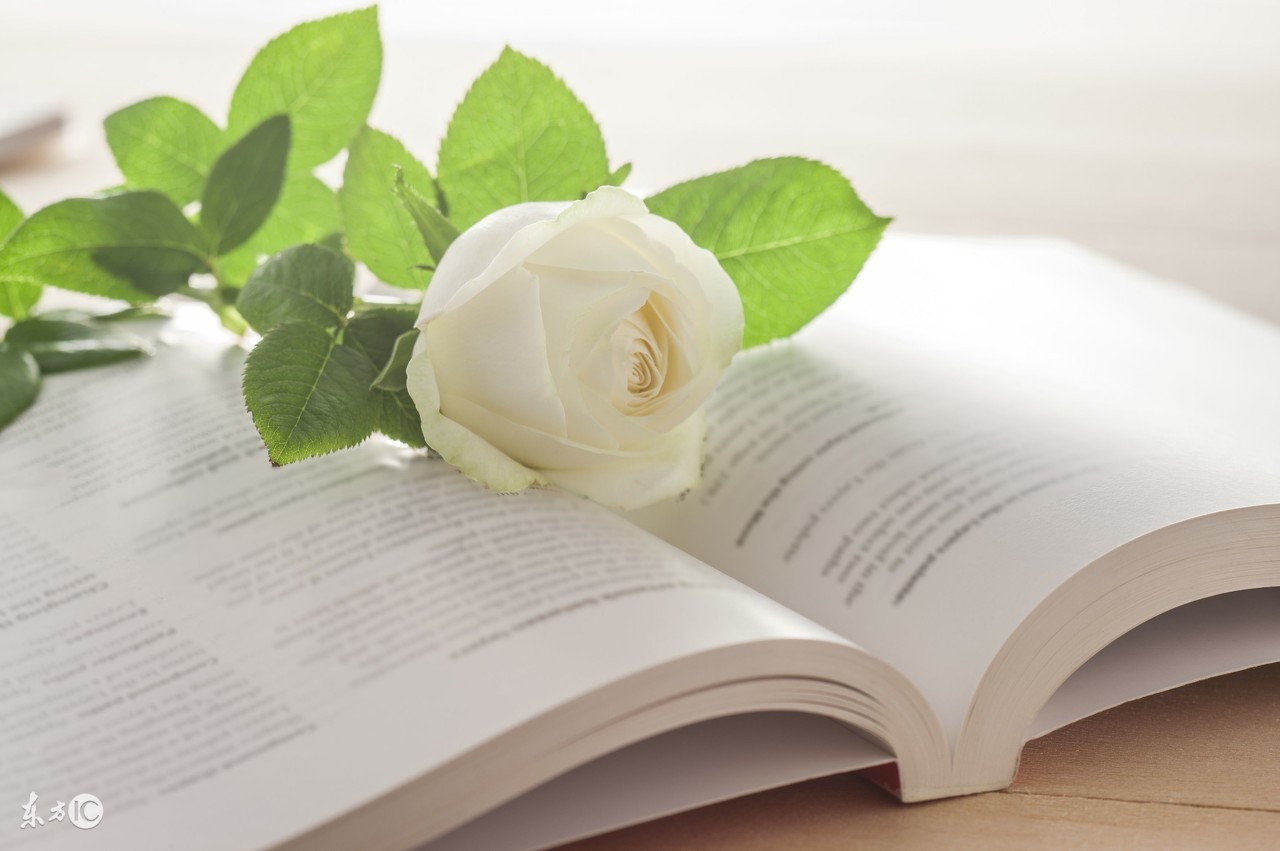 怎样去除生活中的各种异味?