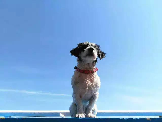 走十步就是大海，三亚这个被无数人错过的小镇，才是真正的天涯！