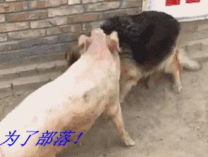 给大家推荐一个适合情侣玩的游戏,适合异地恋情侣玩的游戏