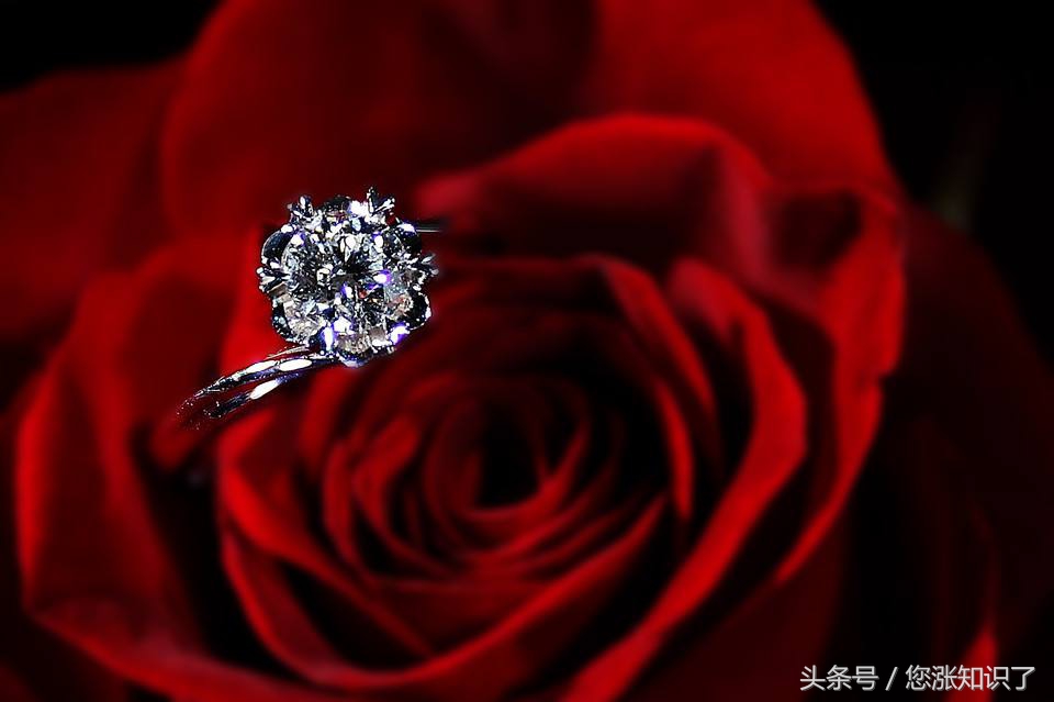 钻石恒久远一颗永流传猜品牌,钻石恒久远一颗永流传英语