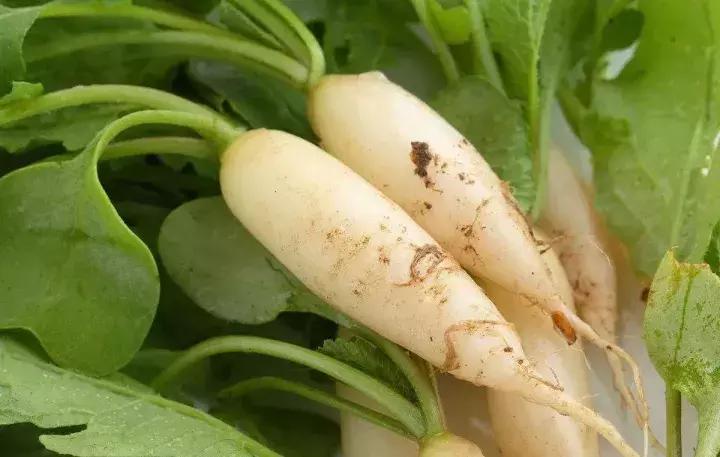 肺热咳嗽痰多快速解决方法,咳嗽养肺的小妙招