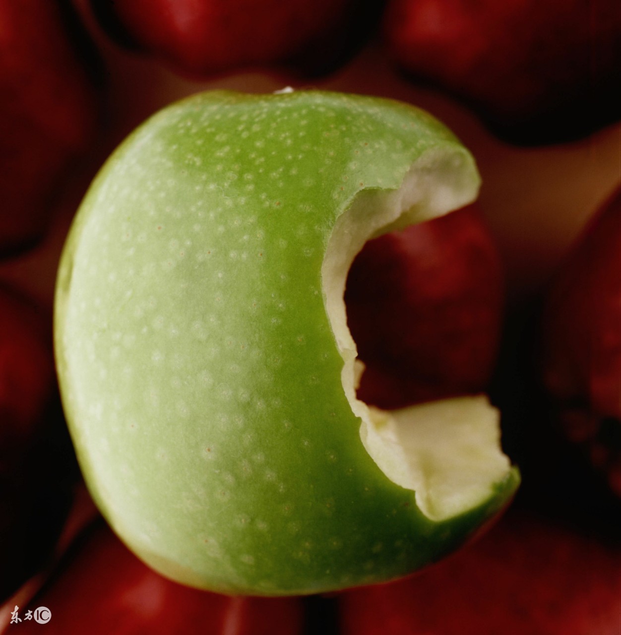 c+基础教程谁讲得最好,c++入门以后学什么