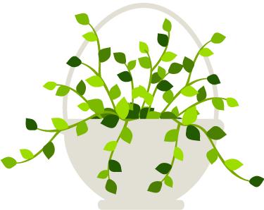 我曾经是个王者歌曲,曾经是个王者后来也绝望了