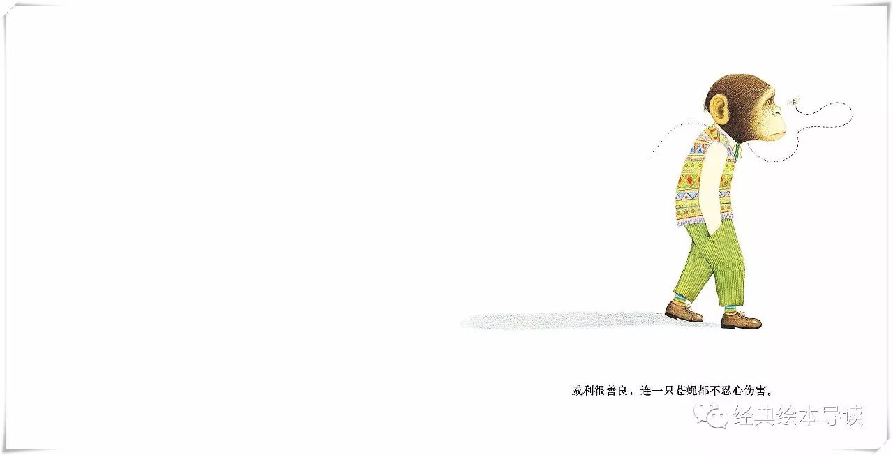 强壮才是找回自信的捷径—《胆小鬼威利》导读