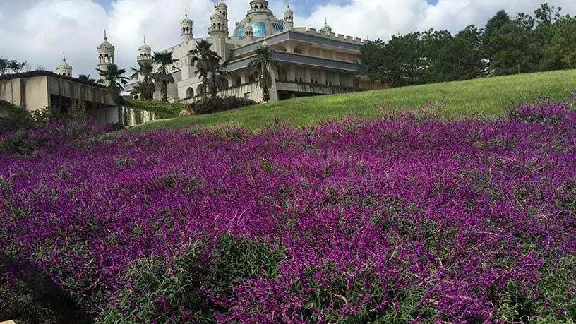 屹立东方的伊甸园你猜得到是那里吗？