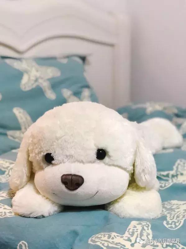 送礼送什么是最好的礼物,给不同人送礼的礼物怎么选